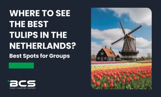 Where to See Tulips in the Netherlands: Best Spots for Groups in 2025